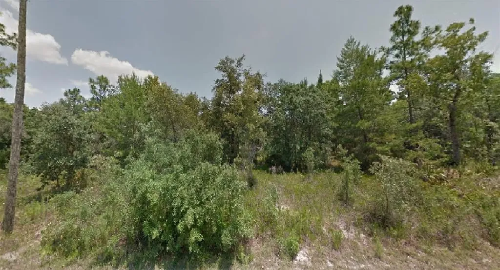 6753 W Merrivale Lane Homosassa FL 34446