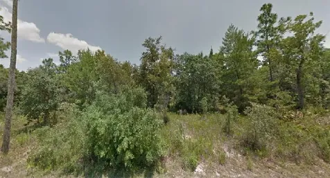 6753 W Merrivale Lane Homosassa FL 34446