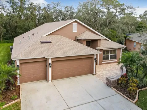 15210 Shearcrest Drive Lithia FL 33547