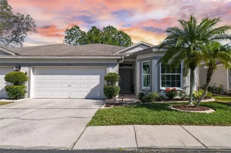 10041 Bucklin Street Tampa FL 33625
