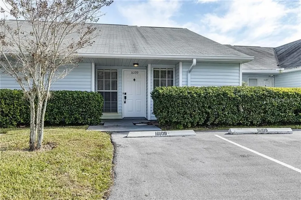 16109 Rambling Vine Drive E Tampa FL 33624