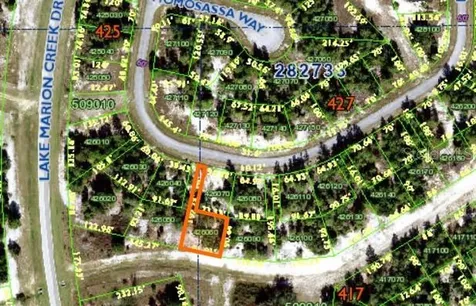 1352 Homosassa Drive Poinciana FL 34759