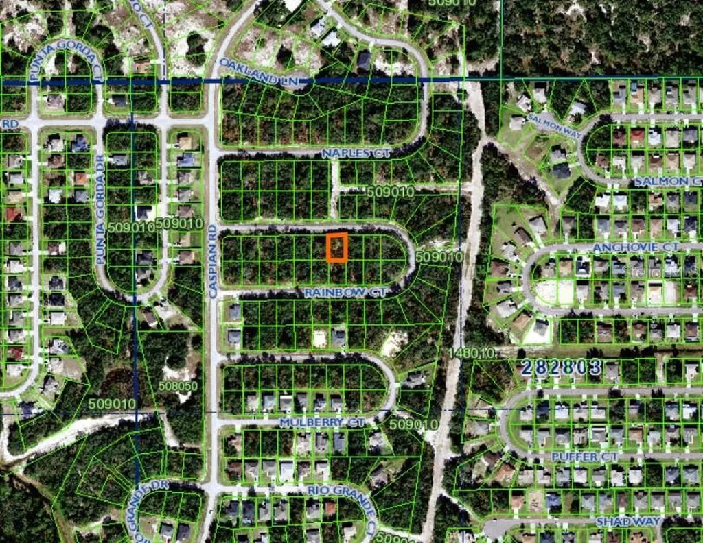Rainbow Court Poinciana FL 34759