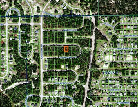 Rainbow Court Poinciana FL 34759