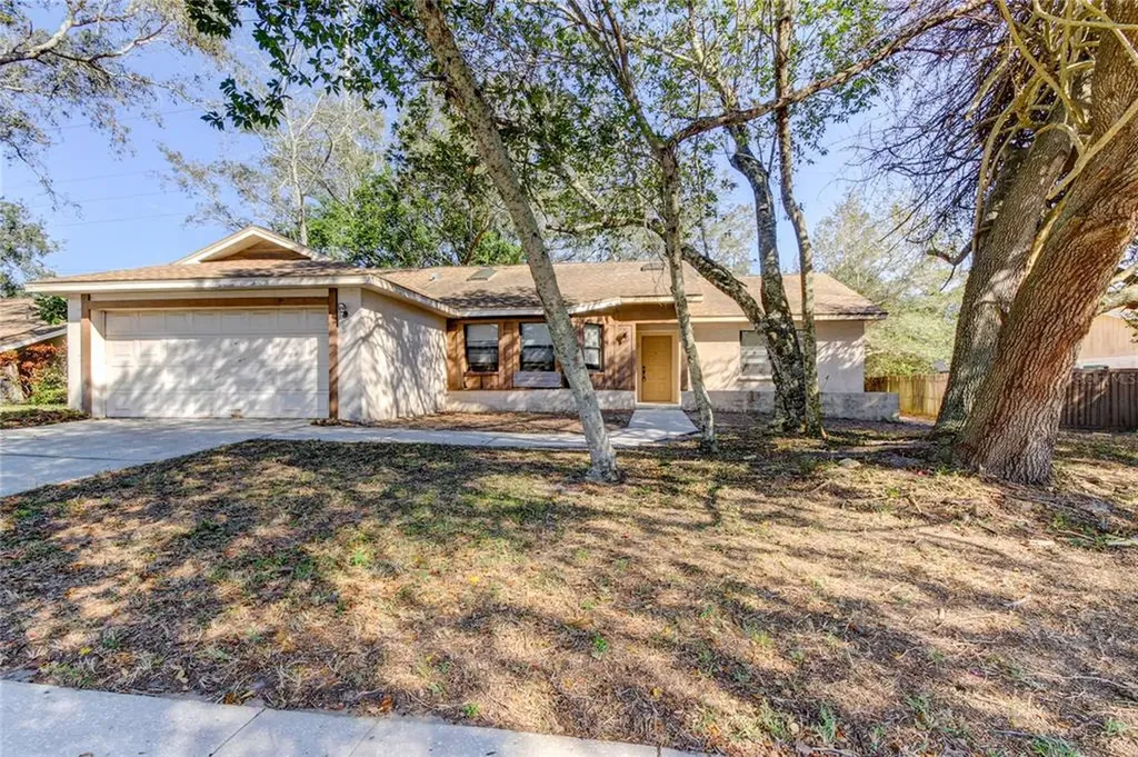 520 Fernshire Drive Palm Harbor FL 34683
