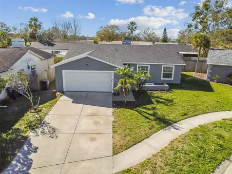 1006 Pinehaven Court Brandon FL 33511
