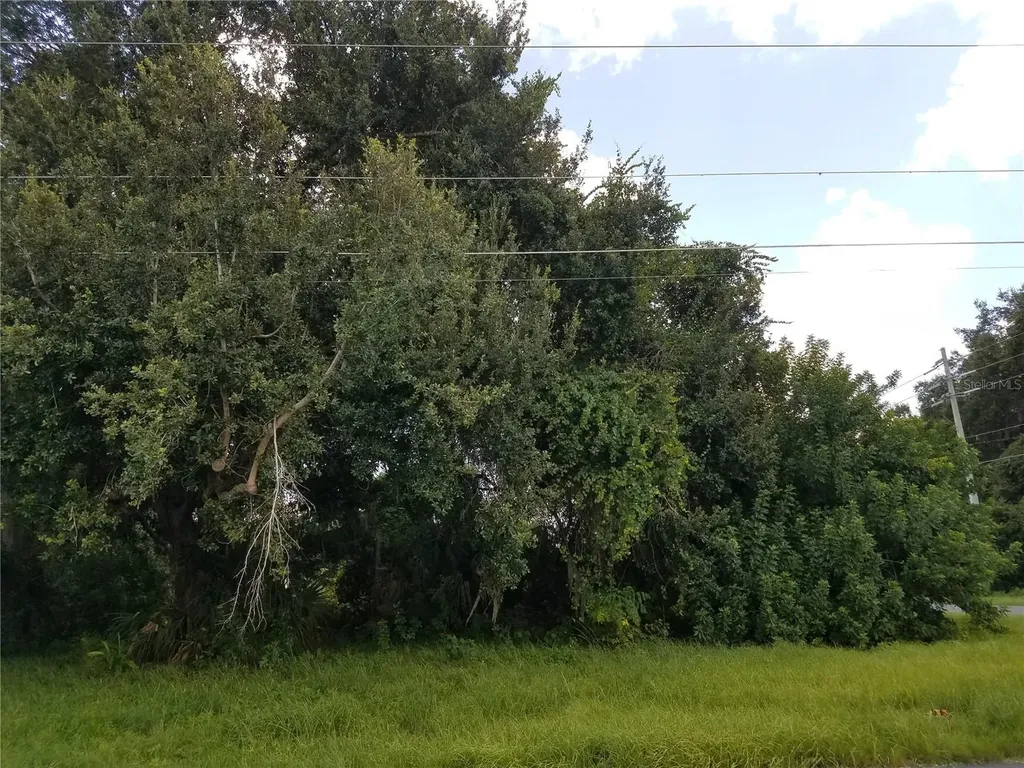 Kissimmee FL 34744