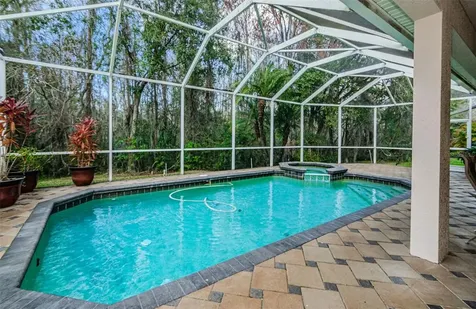 10640 Cory Lake Drive Tampa FL 33647