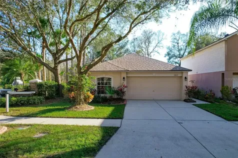 13835 Gentle Woods Avenue Riverview FL 33569