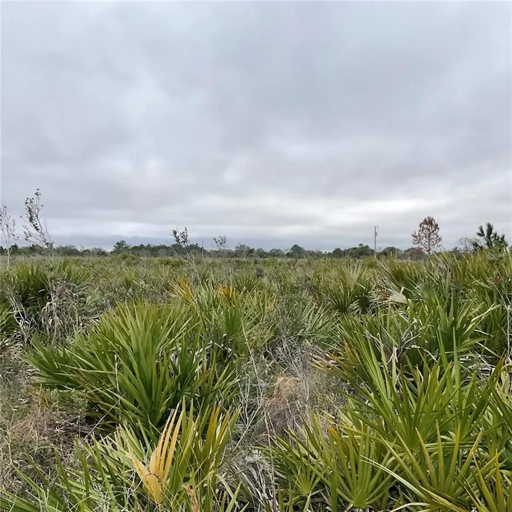 18884 NW 250th Street Okeechobee FL 34972