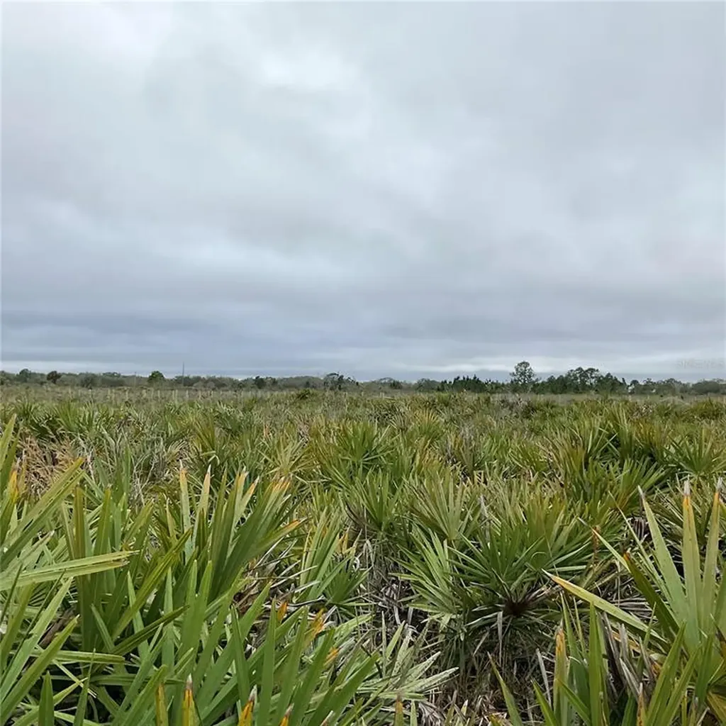 18884 NW 250th Street Okeechobee FL 34972