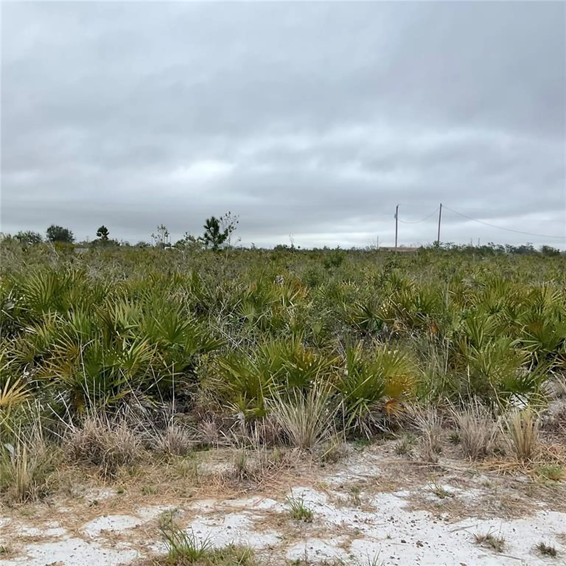 18884 NW 250th Street Okeechobee FL 34972