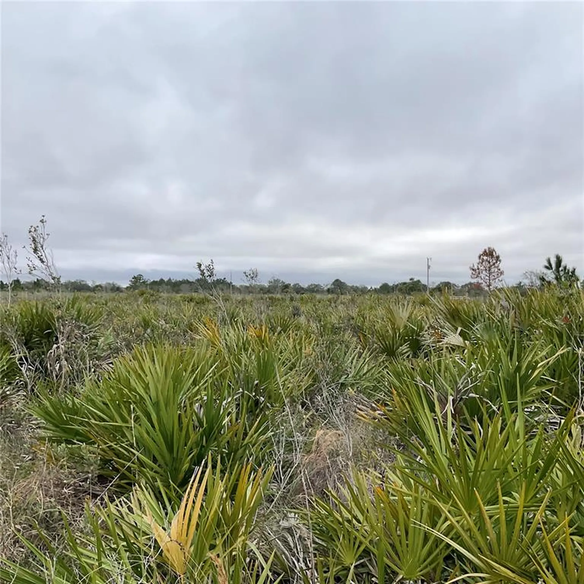 18884 NW 250th Street Okeechobee FL 34972