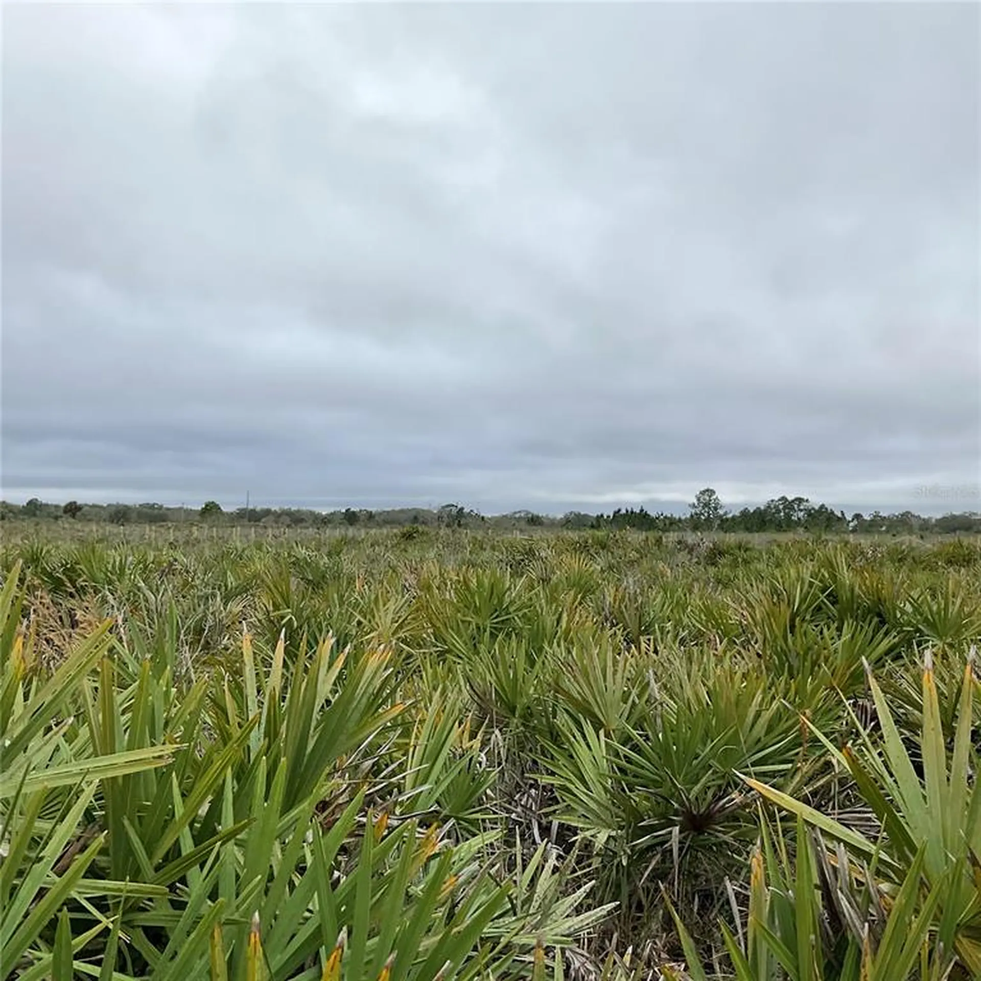 18884 NW 250th Street Okeechobee FL 34972