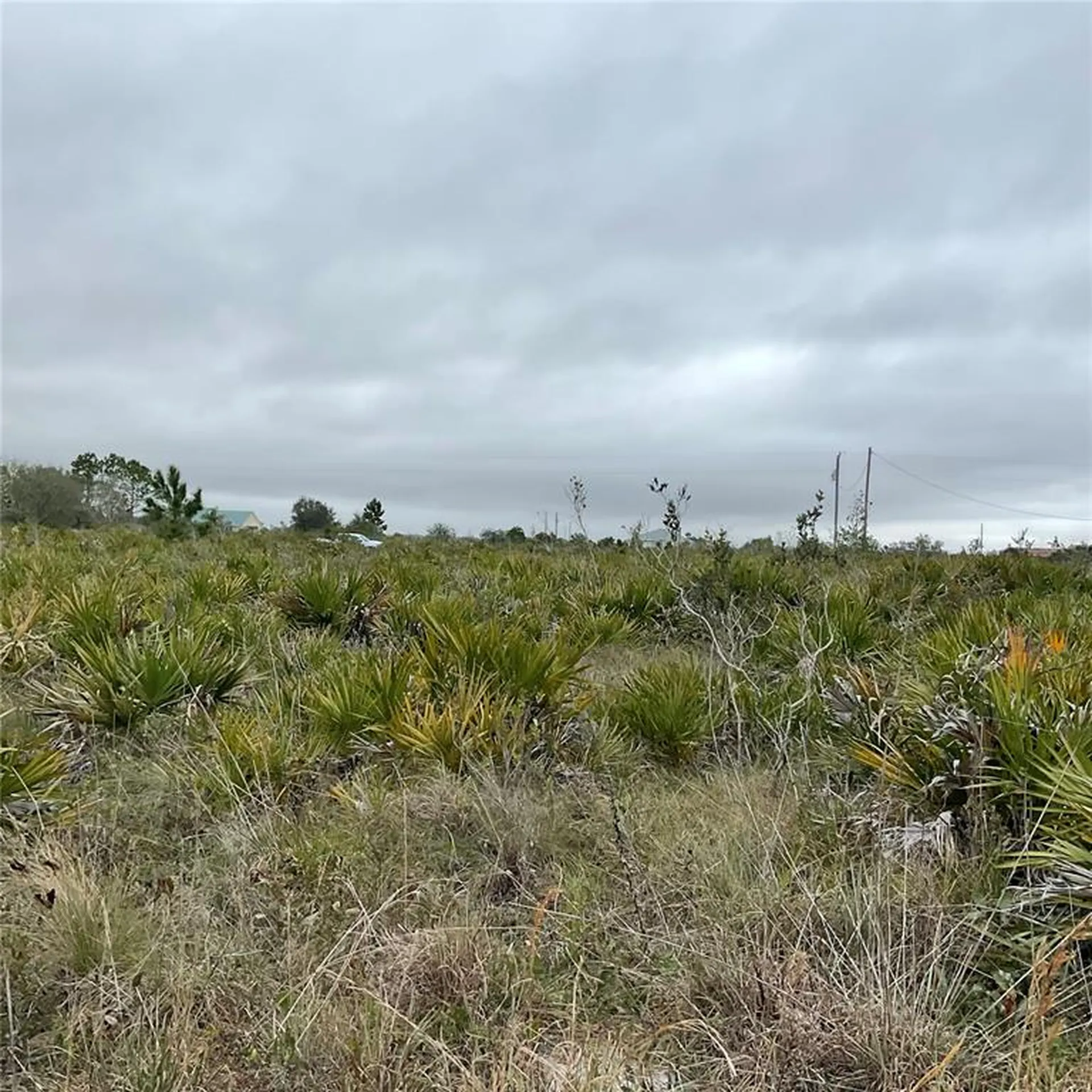 18884 NW 250th Street Okeechobee FL 34972