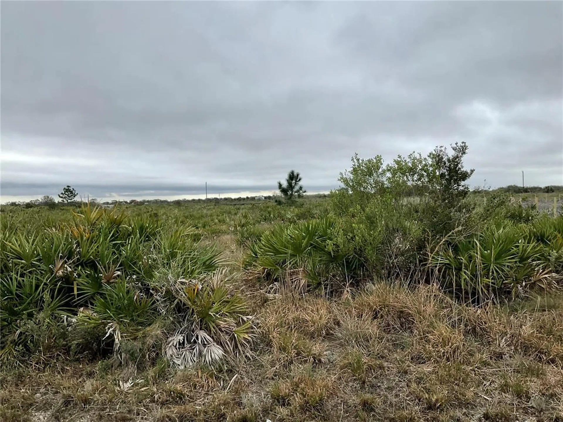 18884 NW 250th Street Okeechobee FL 34972
