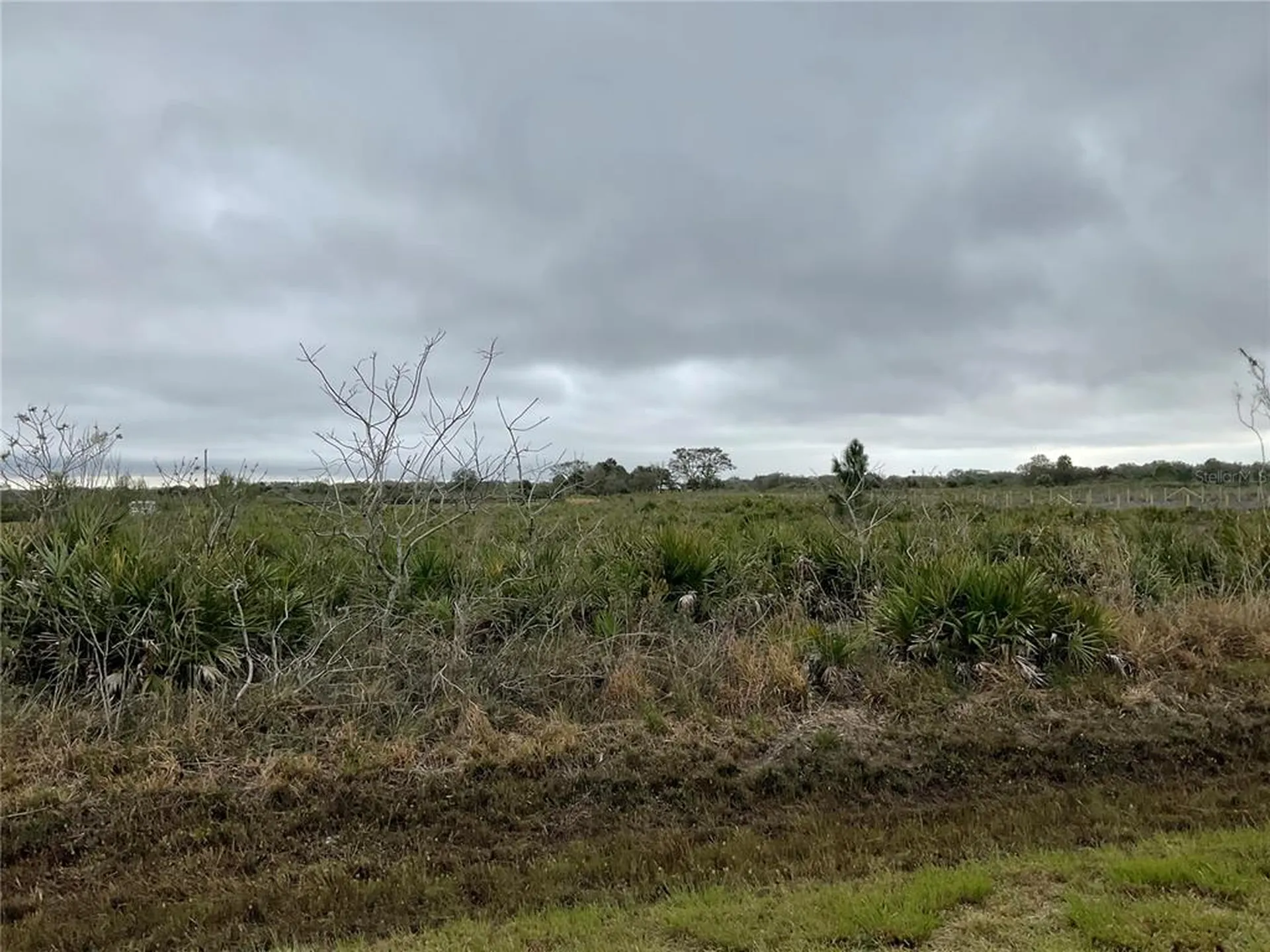 18884 NW 250th Street Okeechobee FL 34972
