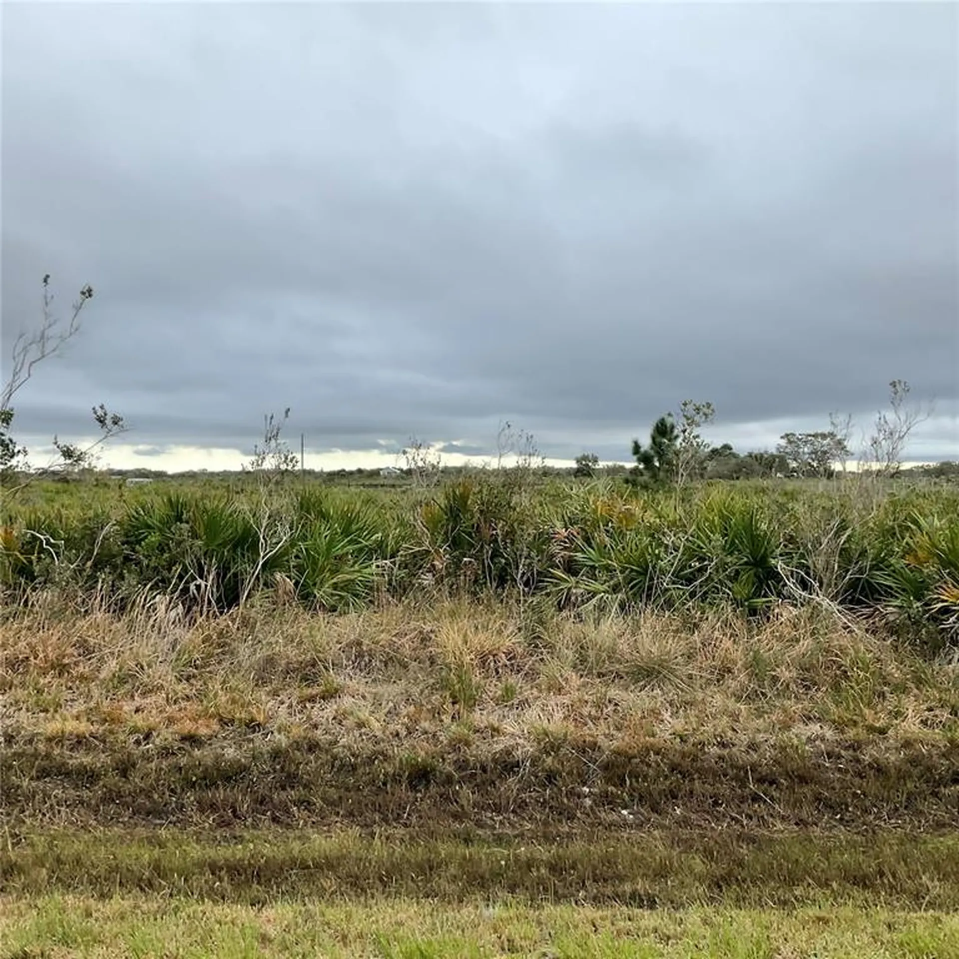 18884 NW 250th Street Okeechobee FL 34972