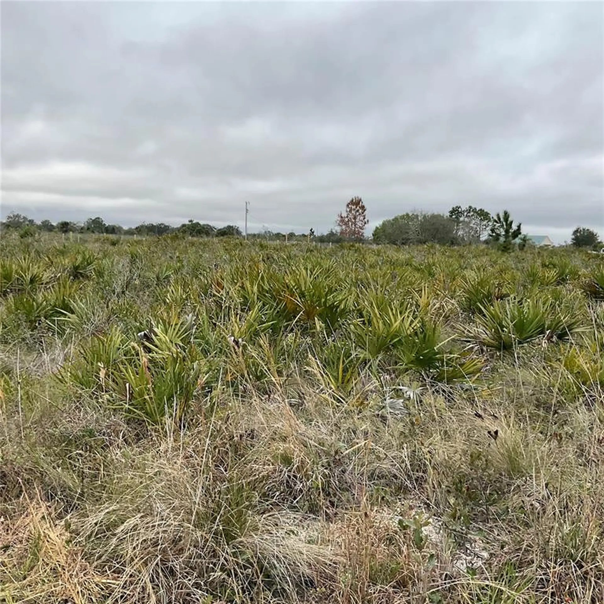 18884 NW 250th Street Okeechobee FL 34972