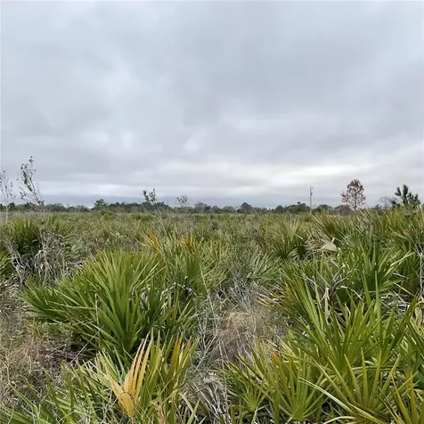 18884 NW 250th Street Okeechobee FL 34972