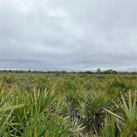 18884 NW 250th Street Okeechobee FL 34972