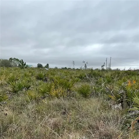 18884 NW 250th Street Okeechobee FL 34972