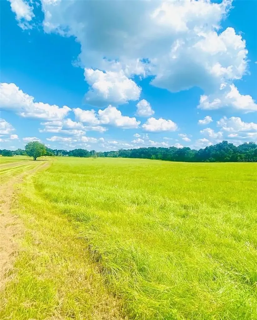 14971 S Highway 475 Summerfield FL 34491
