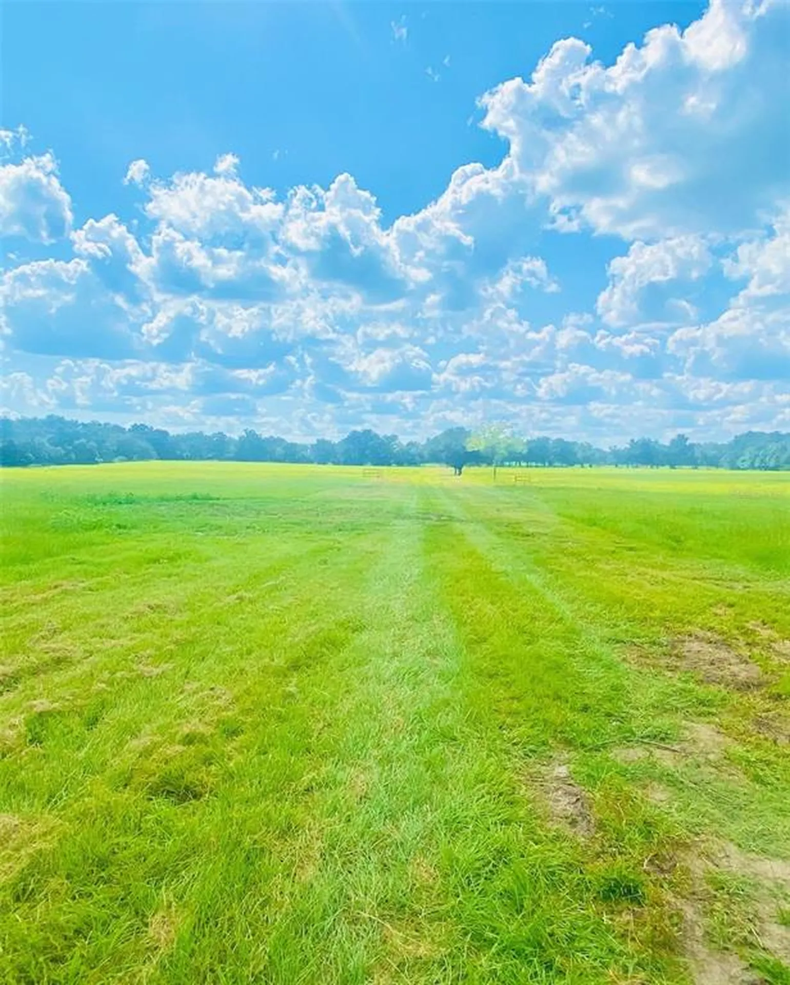 14971 S Highway 475 Summerfield FL 34491