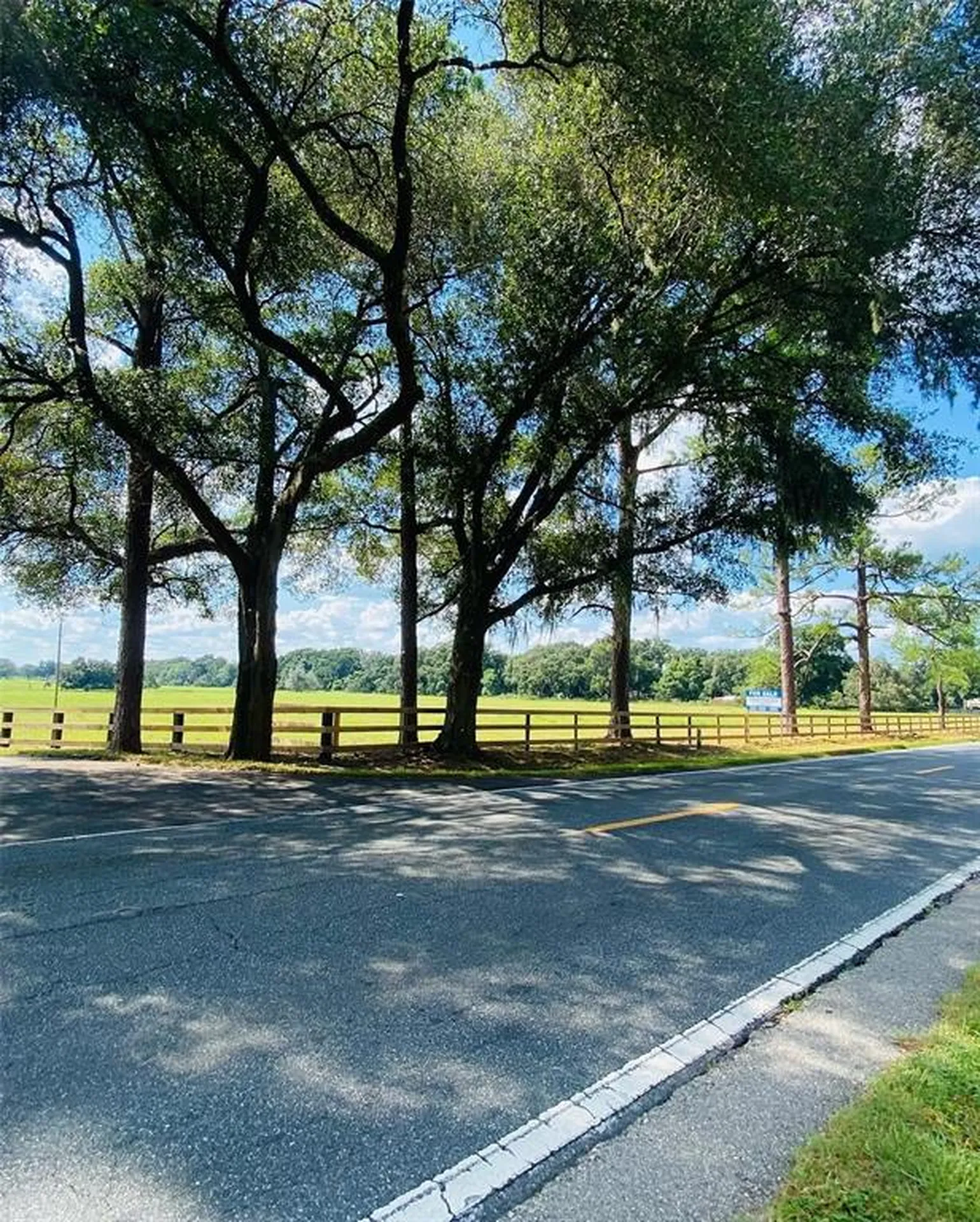 14971 S Highway 475 Summerfield FL 34491