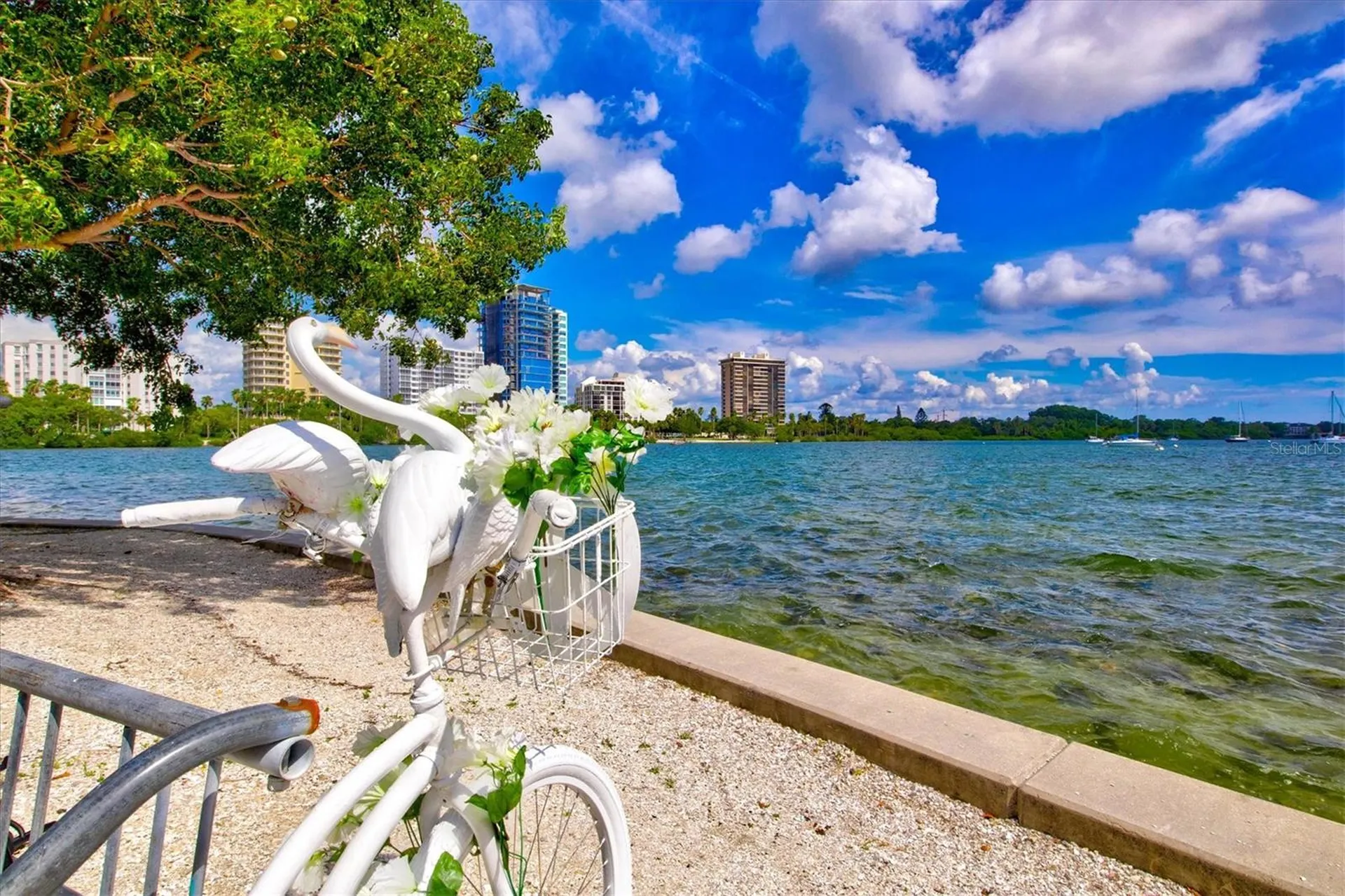 326 S Lime Avenue Sarasota FL 34237