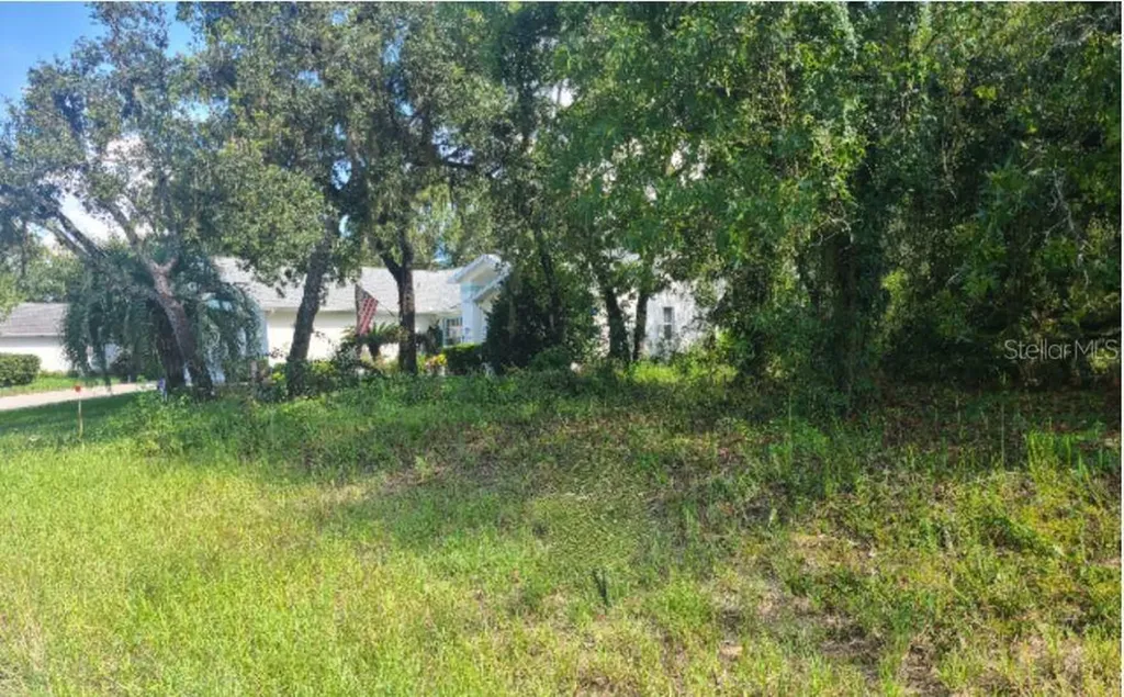 31 Black Willow Street Homosassa FL 34446