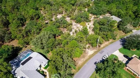31 Black Willow Street Homosassa FL 34446