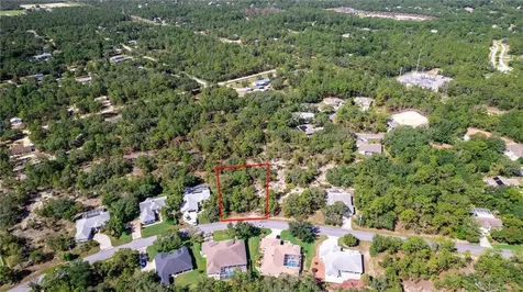 31 Black Willow Street Homosassa FL 34446