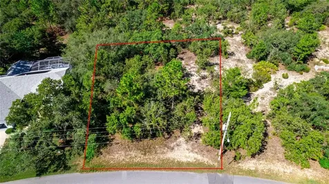 31 Black Willow Street Homosassa FL 34446