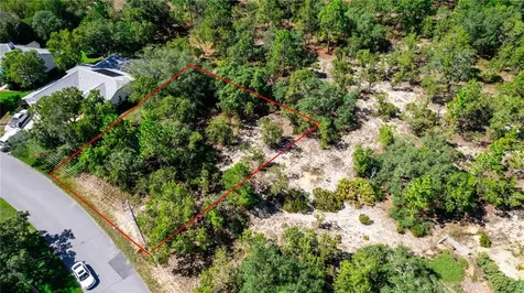 31 Black Willow Street Homosassa FL 34446