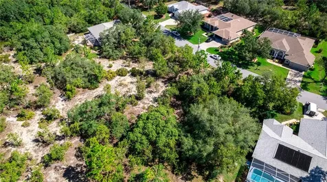 31 Black Willow Street Homosassa FL 34446