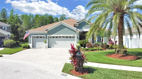 3528 Chessington Drive Land O Lakes FL 34638