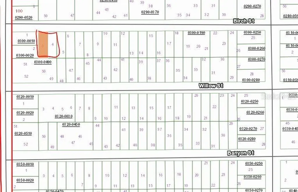 00 Birch Street Interlachen FL 32148