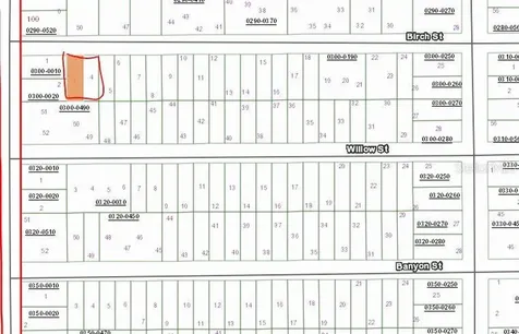 00 Birch Street Interlachen FL 32148