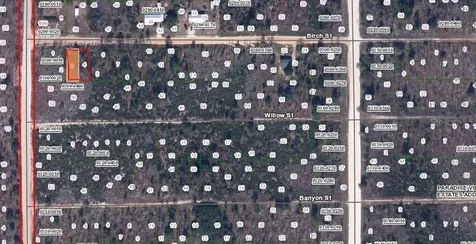 00 Birch Street Interlachen FL 32148