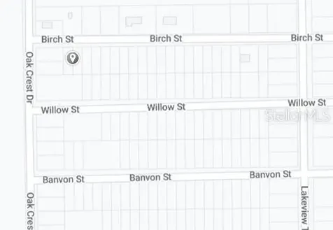00 Birch Street Interlachen FL 32148