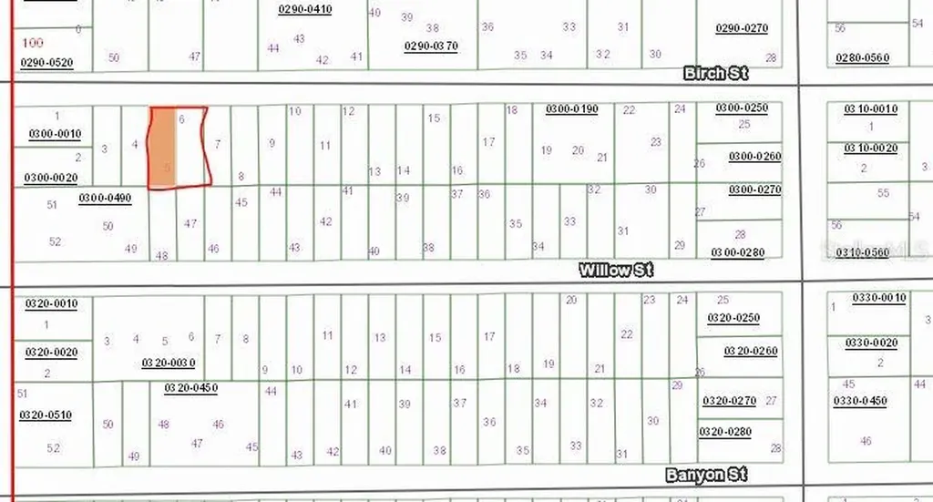 Birch Street Interlachen FL 32148