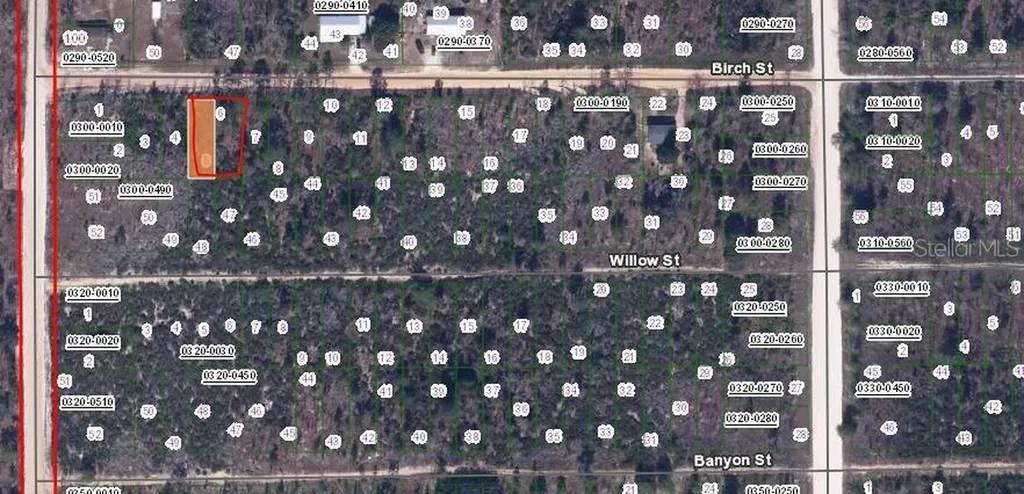 Birch Street Interlachen FL 32148