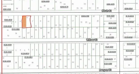 Birch Street Interlachen FL 32148