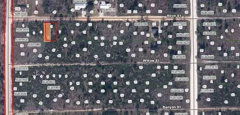 Birch Street Interlachen FL 32148