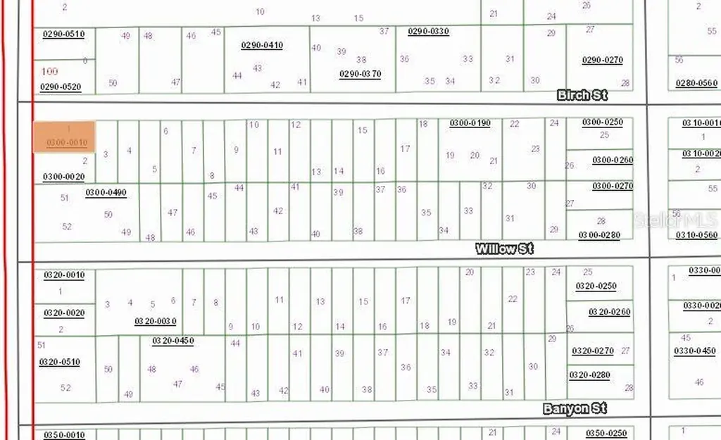 00 Birch Street Interlachen FL 32148