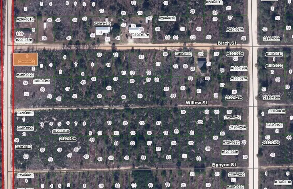 00 Birch Street Interlachen FL 32148