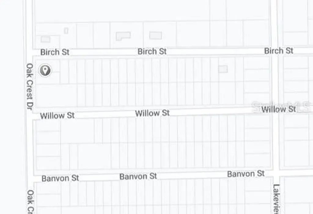 00 Birch Street Interlachen FL 32148