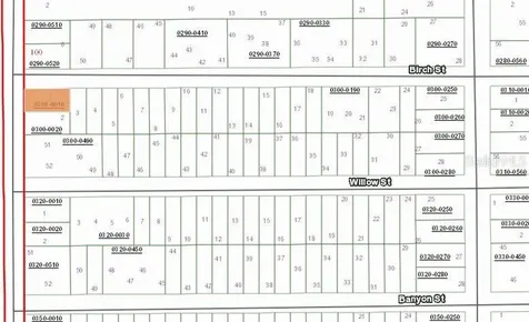 00 Birch Street Interlachen FL 32148