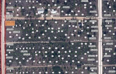 00 Birch Street Interlachen FL 32148